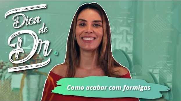 Video Como acabar com formigas: 4 dicas que resolvem [SEM VENENO] su italiano
