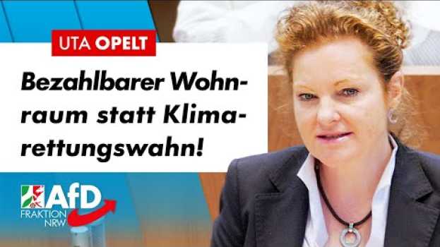 Video Was ist nur aus Deutschland geworden? – Uta Opelt (AfD) in English