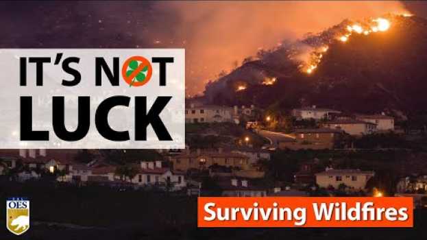 Video WHEN IT COMES TO SURVIVING WILDFIRES, IT'S NOT ABOUT LUCK auf Deutsch