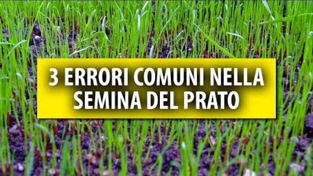 Video 3 Errori Comuni che si Fanno nella Semina del Prato in English