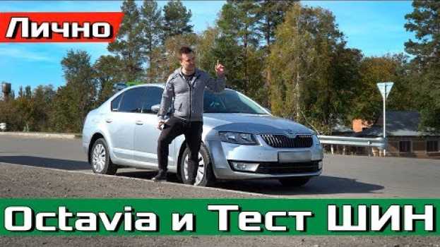 Video Новые VS Старые ШИНЫ! Сравниваем тормозной путь 100-0 у Skoda Octavia A7! #proAutoTV em português