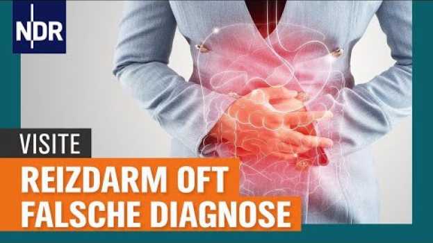 Video Fehldiagnose Reizdarmsyndrom: Steckt eine Intoleranz oder Allergie dahinter?  | Visite | NDR in English