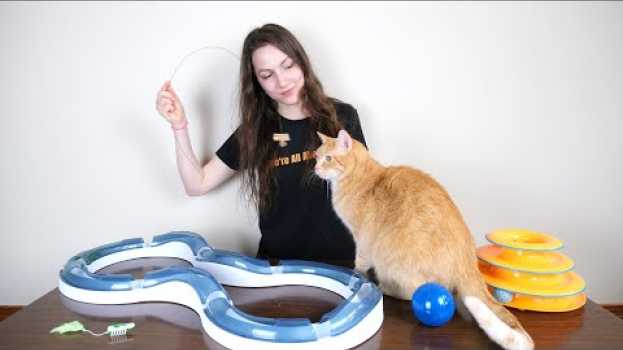 Video Top 5 Best Cat Toys (We Tested Them All) en español