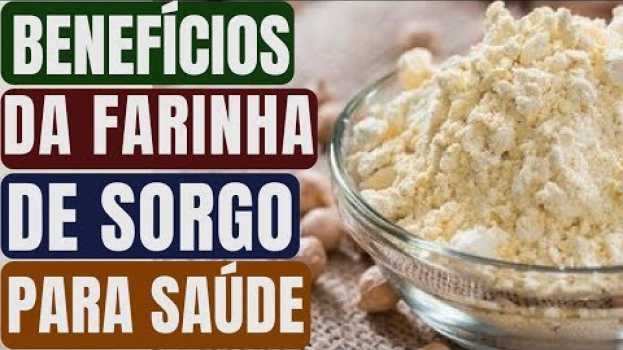 Video Você já Ouviu Falar no Sorgo  Conheça 10 benefícios da sua farinha para saúde! Naturalmente Saudável po polsku