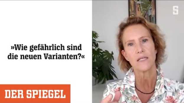 Video Angst vor neuer Corona-Welle: Wie gefährlich sind die neuen Varianten? | DER SPIEGEL po polsku