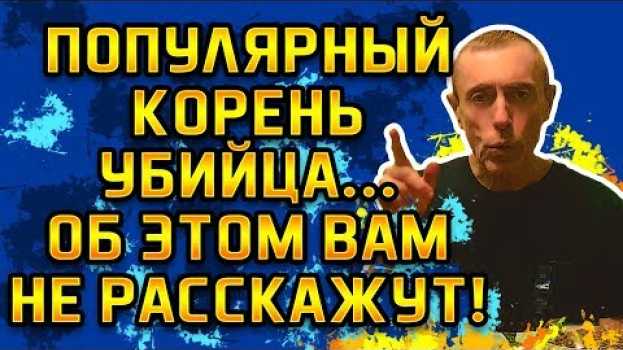 Video ПОПУЛЯРНЫЙ КОРЕНЬ УБИЙЦА...ОБ ЭТОМ ВАМ НЕ РАССКАЖУТ! Иммунитет, нехватка витаминов, очищение печени auf Deutsch