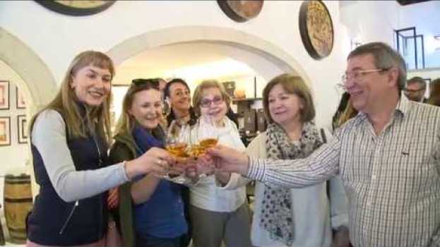 Video TAP Wine Tour 2019: uma viagem única pelo Alentejo e Península de Setúbal auf Deutsch