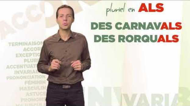 Video Pluriel des noms se terminant par -AL   türkçe