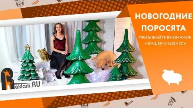 Video Символ года 🐖 Весёлые свинки ❄️ Новогодние украшения витрин in English
