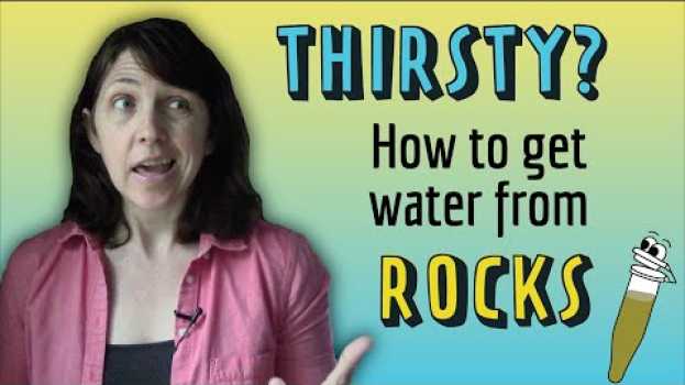 Video A bacteria that extracts water from rocks! - A 2020 Cool Paper en español