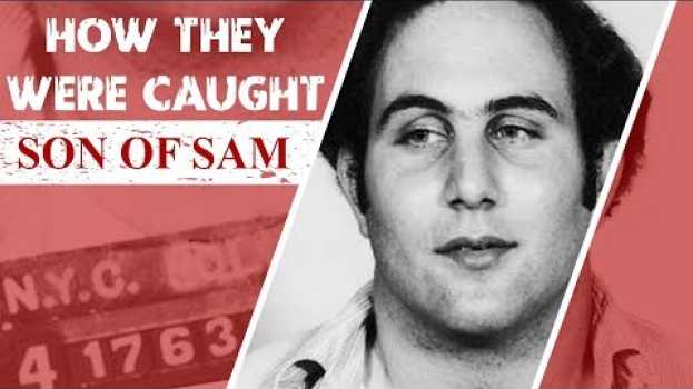 Video How They Were Caught: Son of Sam po polsku