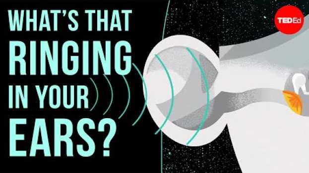 Video What’s that ringing in your ears? - Marc Fagelson su italiano