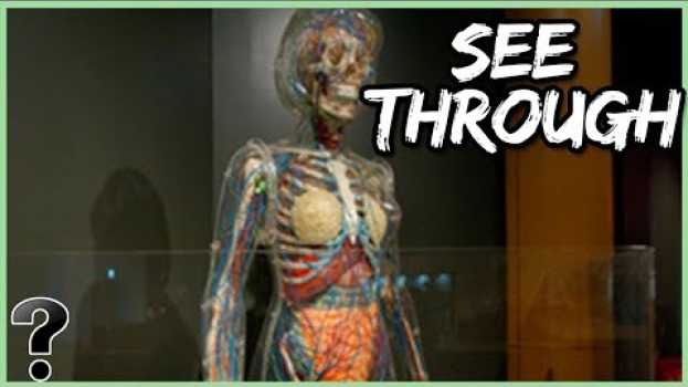 Video What If Our Bodies Were Transparent? po polsku
