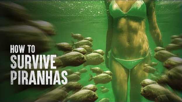 Video How to Survive a Piranha Feeding Frenzy en français