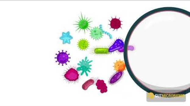 Video You have the microbiome you deserve   türkçe