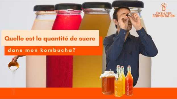 Video Combien de sucre dans le kombucha? Utiliser un réfractomètre pour le savoir   türkçe
