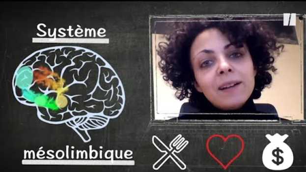 Video Pourquoi certaines musiques nous donnent le frisson? po polsku