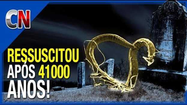 Video Ser Volta a VIDA após 41 000 ANOS   türkçe