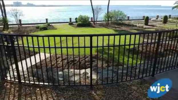 Video The Gardens At The Cummer Have Reopened su italiano