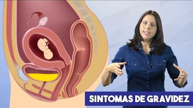 Видео Primeiros Sintomas de Gravidez на русском