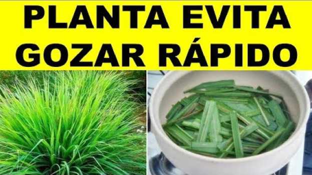 Video Isso DESTRÓI a EJACULAÇÃO PRECOCE serve como TRATAMENTO e também a NÃO GOZAR RÁPIDO su italiano