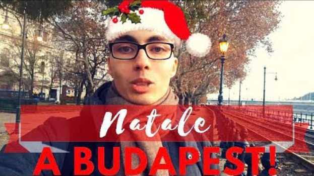 Video Mercatini di natale (e aggiornamenti sulla mia vita) - VLOG [sub ITA] en español