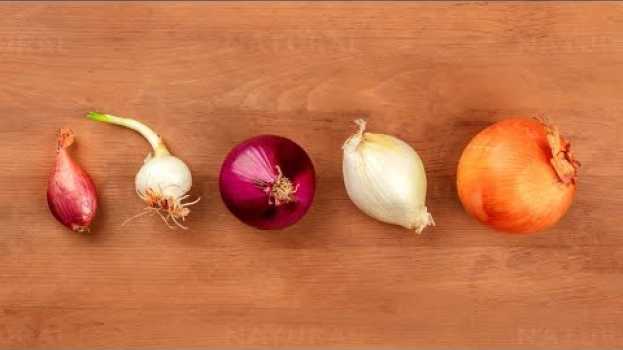Video Which Onion Is The Healthiest? auf Deutsch
