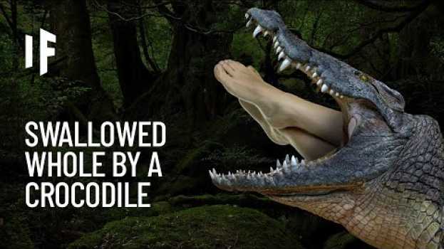 Video What If You Were Swallowed by a Crocodile? auf Deutsch