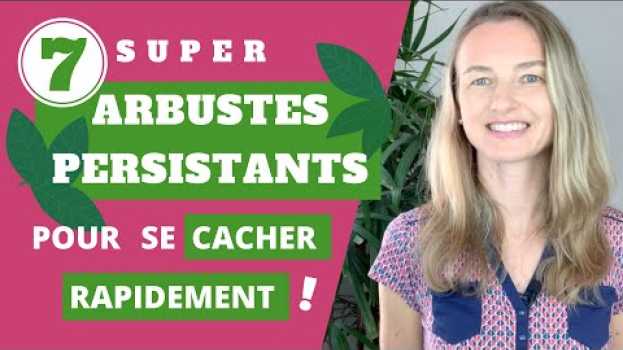 Video 7 super arbustes PERSISTANTS pour se cacher RAPIDEMENT !   türkçe