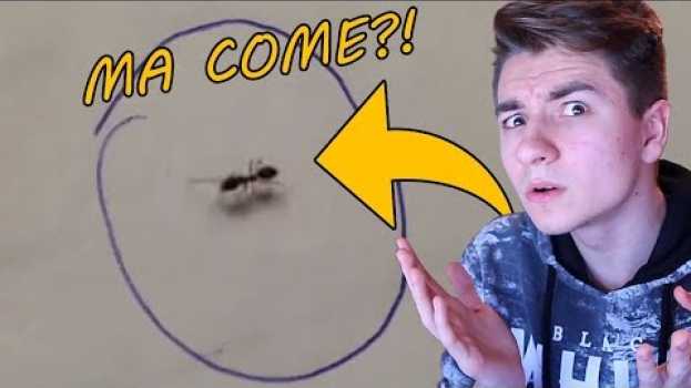 Video COME INTRAPPOLARE UNA FORMICA (Usando Una PENNA!) en français