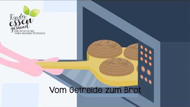 Video Vom Getreide zum Brot in English