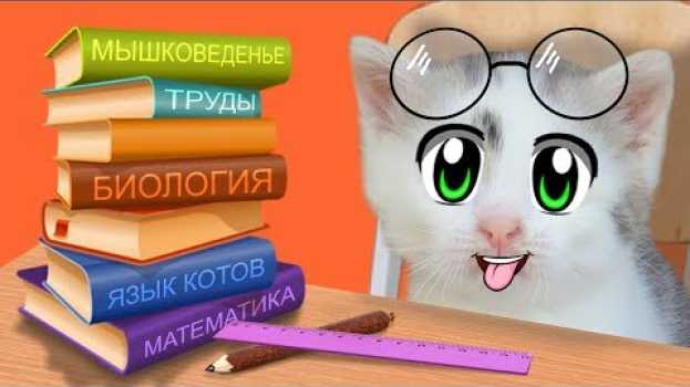 Video ШКОЛА КОТОВ: НОВЫЕ УРОКИ! КОТ МАЛЫШ и Кошечка МУРКА 24 ЧАСА В ШКОЛЕ! БАФФИ УЧИТ КОТЯТ Back To School en español