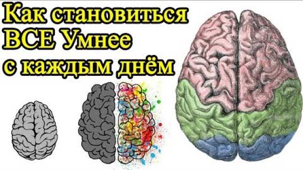 Video Как быть умным каждый день и стать творческим – Как сделать себя умным и стать креативным en français