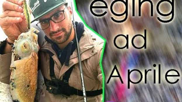Video SEPPIE AD APRILE DALLA RIVA COME LE PESCO IO ... EGING CON YAMASHITA YO-ZURI DUEL auf Deutsch
