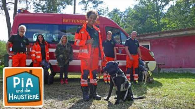 Видео Ein Tag bei den Rettungshunden | Information für Kinder | Pia und die Haustiere SPEZIAL на русском