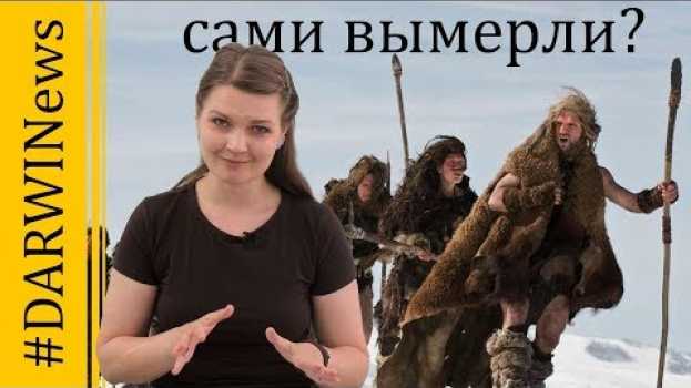 Video Может, неандертальцы вымерли сами? Елена Сударикова #DARWINews su italiano