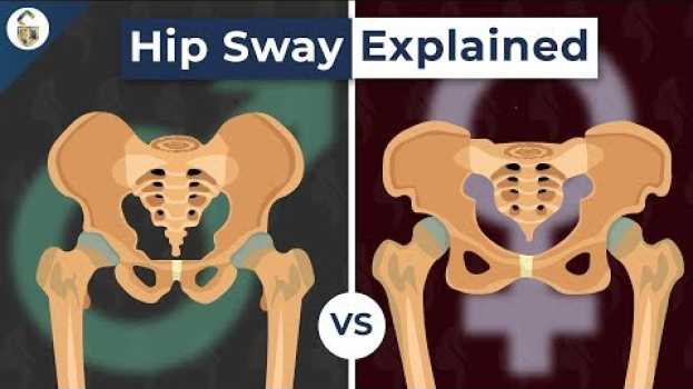 Video Why Do Women's Hips Sway When They Walk? auf Deutsch
