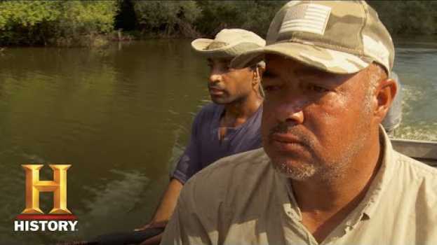 Video Swamp People: Bulldozer Alligator Sends Joey on a Wild Chase (Season 10) | History   türkçe