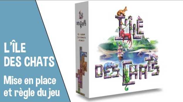 Video ❓🎲 [Comment... Y JOUER ?] L'île des chats - Mise en place et règle du jeu su italiano