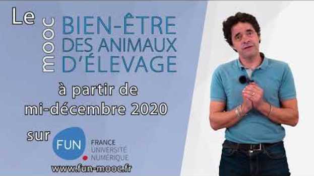 Video Teaser MOOC 2021_Bien-être des animaux d'élevage   türkçe
