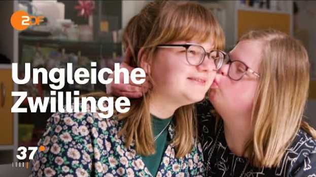 Video Zwillingsschwester mit Down-Syndrom:  “Ich habe meine beste Freundin immer dabei.”  I 37 Grad   türkçe