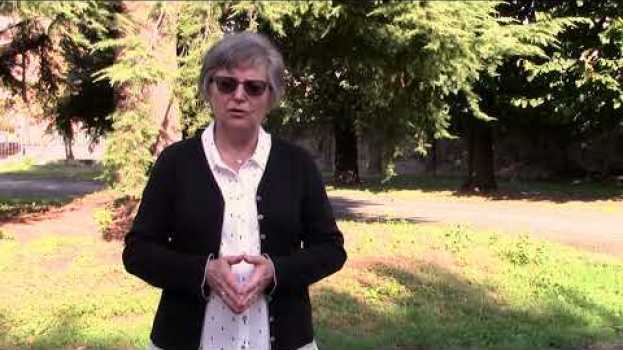 Video 20 anni di Dors- intervista a Elena Coffano, responsabile del Centro dal 1998 al 2017 em português