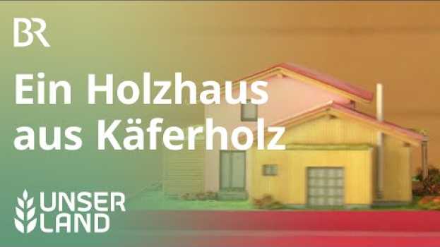 Video Ein Holzhaus aus Käferholz | Unser Land | BR Fernsehen su italiano