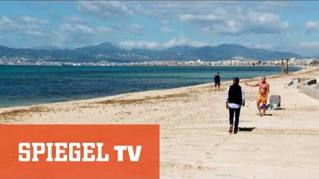 Video Die Party ist vorbei: Neue Armut auf Mallorca | SPIEGEL TV su italiano