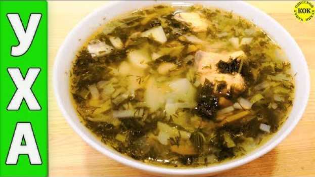 Video Царская уха – вкусная до невозможности in English