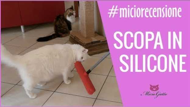 Video Scopa in silicone: la mia recensione! ✨✨ in English
