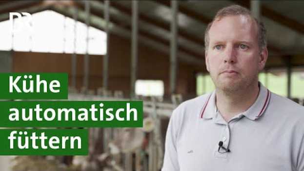 Video Automatisch Kühe füttern: Sind Futterroboter im Kuhstall rentabel? | Milchkuh | Unser Land | BR   türkçe