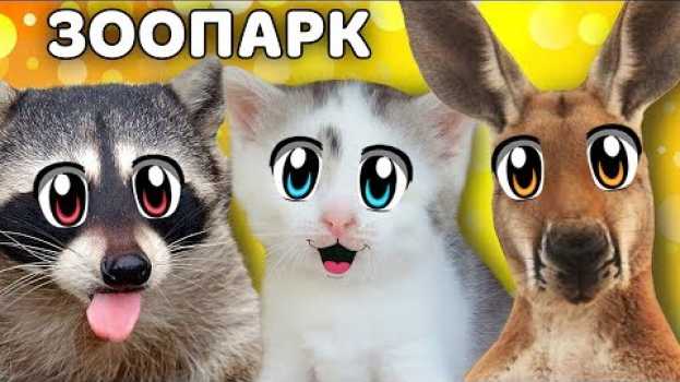 Video КОШКА МУРКА и ЗООПАРК! СМЕШНАЯ СВИНКА и ИГРУШКИ КУКЛЫ ЛОЛ как ПИТОМЦЫ! КОТ МАЛЫШ и ПРИКОЛЬНЫЕ ЕНОТЫ   türkçe