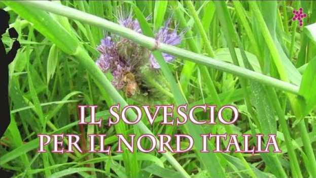 Video Il sovescio per il nord Italia   türkçe