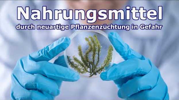 Video Nahrungsmittel durch neuartige Pflanzenzüchtung in Gefahr | 03. Februar 2021 | www.kla.tv/18056 su italiano